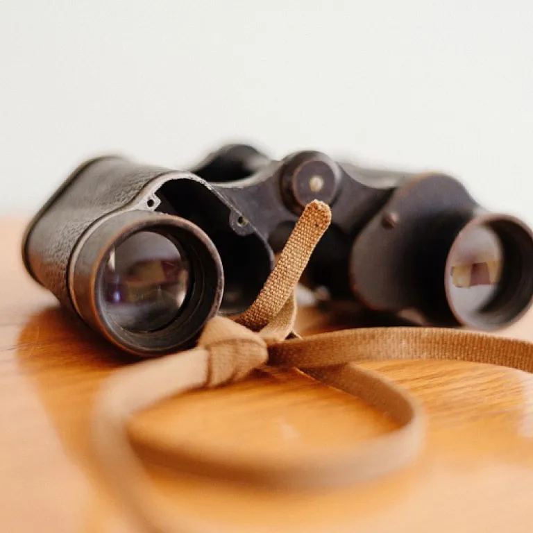 Optimiser le SEO pour générer des leads B2B : stratégies avancées pour directeurs marketing